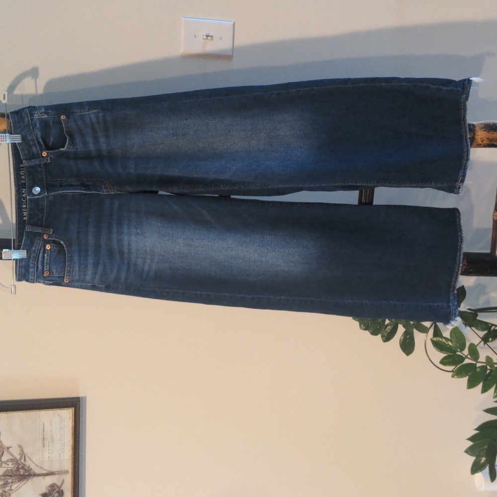American Eagle Low-Rise Baggy Wide Leg Jeans Size 0